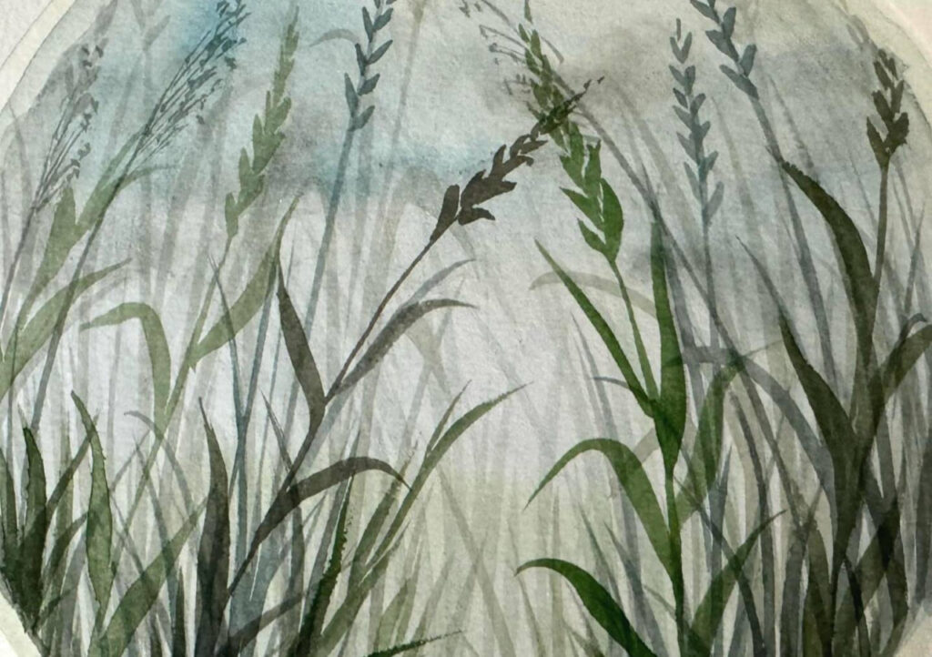 photo 2026 03 19 22 59 35